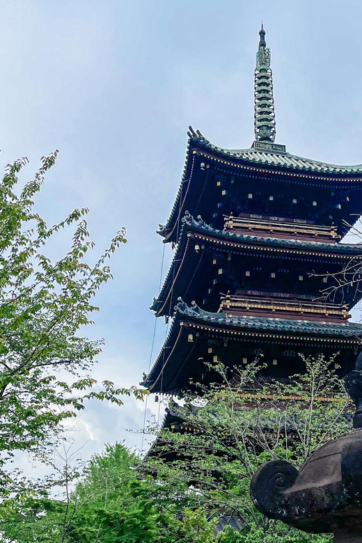 Tokio A: Tour de la ciudad en Español - Spanish - Ameyoko, el mercado menos solemne de Tokio