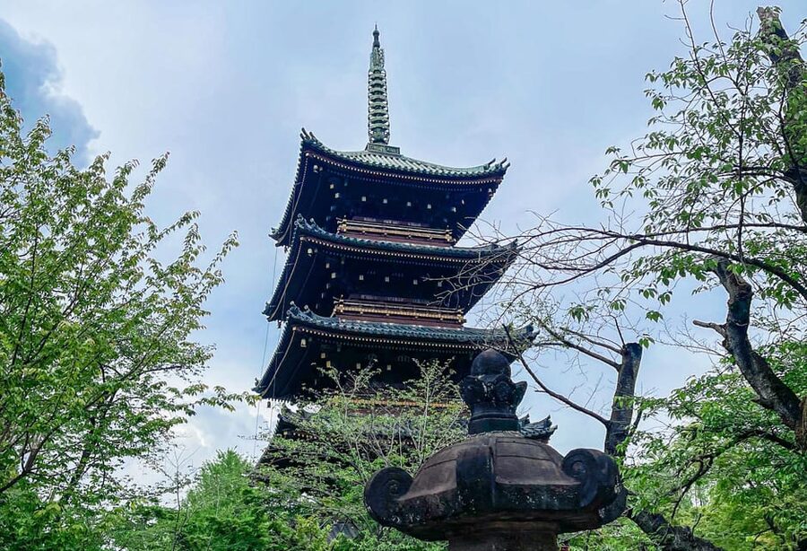 Tokio A: Tour de la ciudad en Español - Spanish - Shinjuku y el mirador con vistas de Tokio