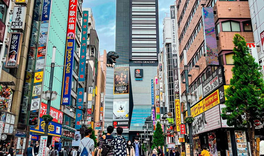 Tokio A: Tour de la ciudad en Español - Spanish - Qué aporta una guía en español