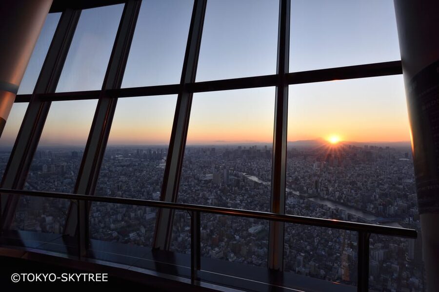 Tokyo: 1 Day Bus Tour with Meiji-Jingu,Odaiba,lunch&Skytree - Why this one-day Tokyo tour works