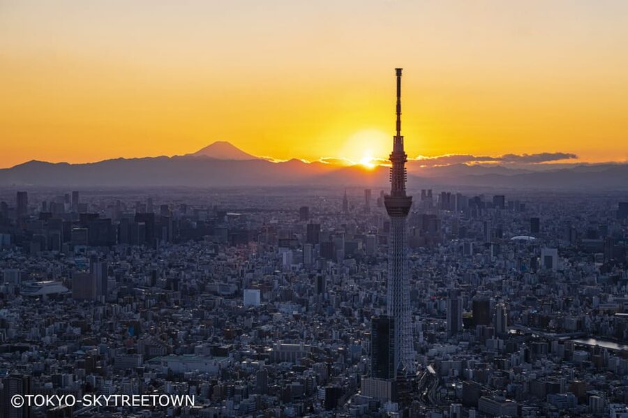 Tokyo: 1 Day Bus Tour with Meiji-Jingu,Odaiba,lunch&Skytree - The Imperial Palace Plaza keeps things brief