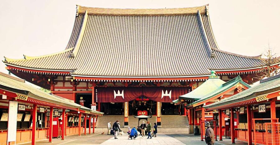 Tokyo: 1-Day Private Customizable Tour by Car - Why a private car makes sense in Tokyo
