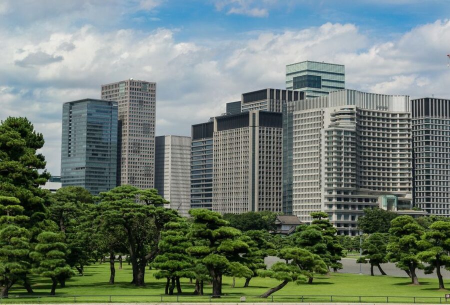 Tokyo: 1-Day Private Customizable Tour by Car - Shibuya Scramble: Tokyo’s famous crossing