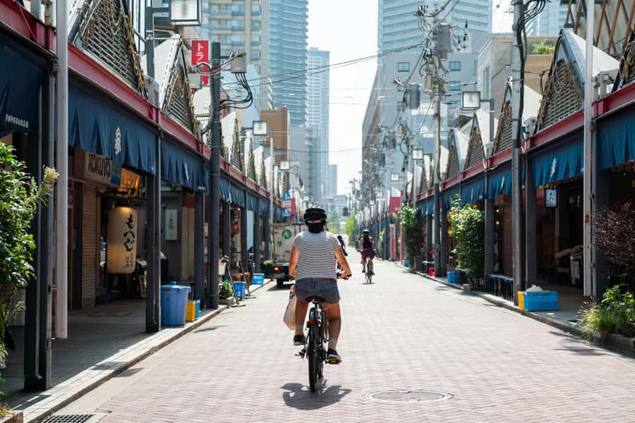 Tokyo: 3-hour Guided E-Bike Tour of the City's Hidden Gems - Choose the route that matches your Tokyo