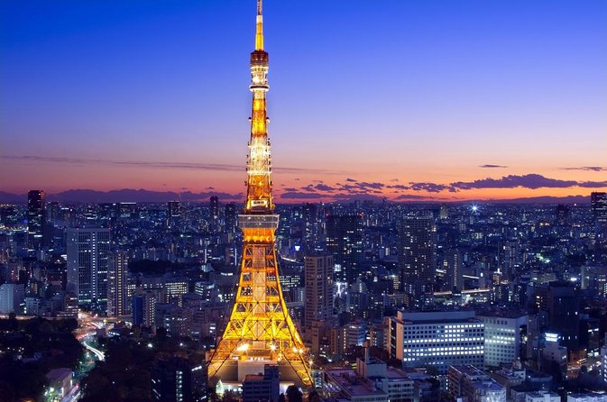 Tokyo 4hr Private Tour with Government-Licensed Guide - A flexible way to meet Tokyo on your terms