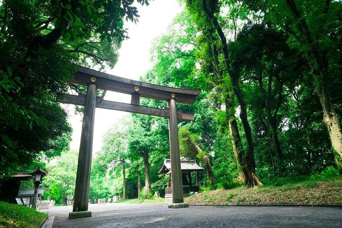 Tokyo 6hr Private Tour with Government-Licensed Guide - Akihabara and Tokyo’s modern interests