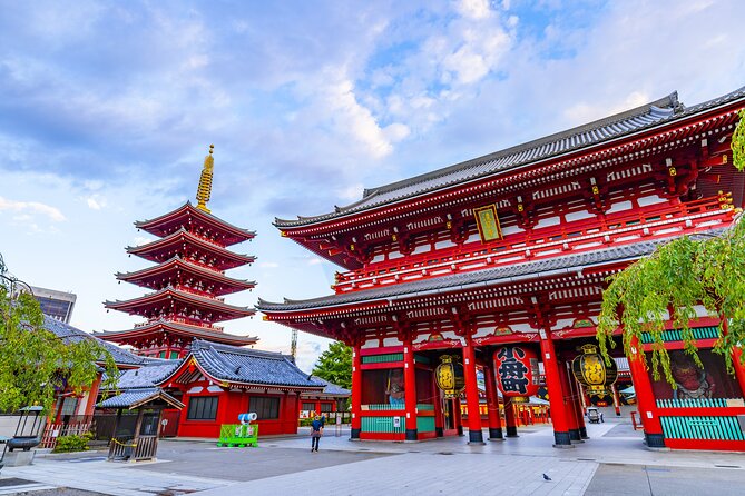Tokyo 8hr Private Tour with Licensed Guide from Yokohama - Why this private Tokyo day works from Yokohama