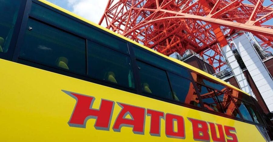 Tokyo: A Half-Day Trip Bus Tour in the Morning - Guides who add value to the ride