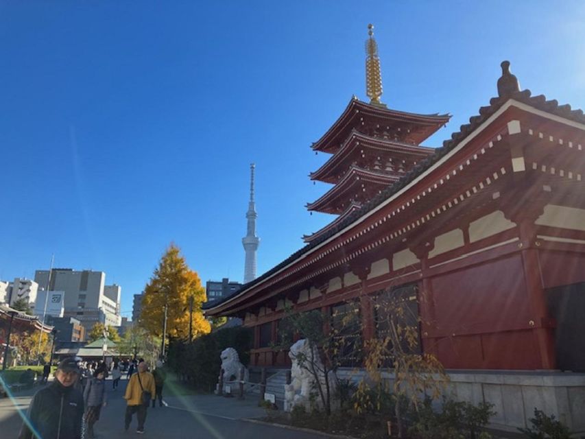 Tokyo: A Half-Day Trip Bus Tour in the Morning - Who should choose this $40 introduction to Tokyo