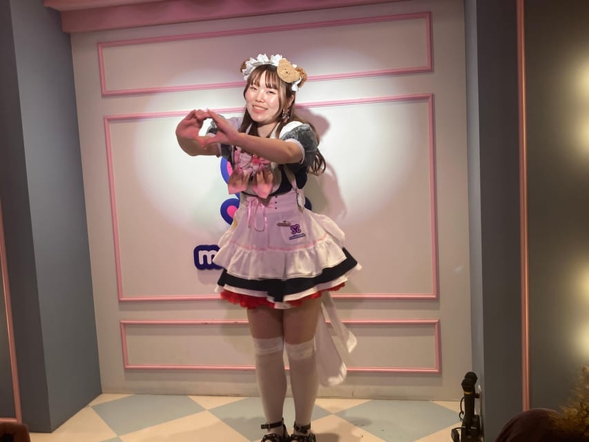 Tokyo Akihabara, Anime, Manga, Video Games & Maid Cafe Tour - What the guides add