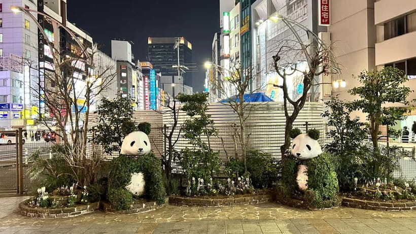 Tokyo: Akihabara, Shibuya, Karaoke & City Lights Night Tour - Starting beneath Ueno Station