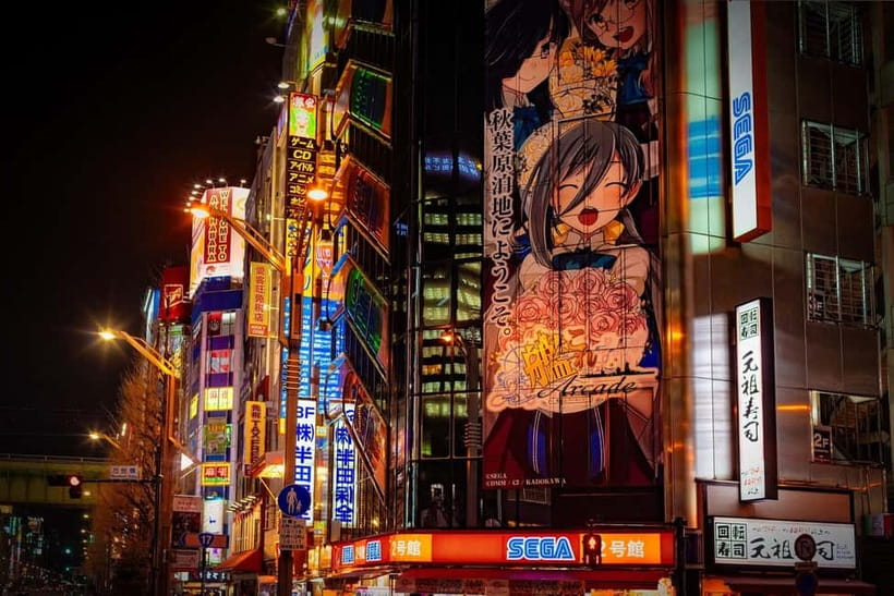 Tokyo: Akihabara, Shibuya, Karaoke & City Lights Night Tour - Should you book it?