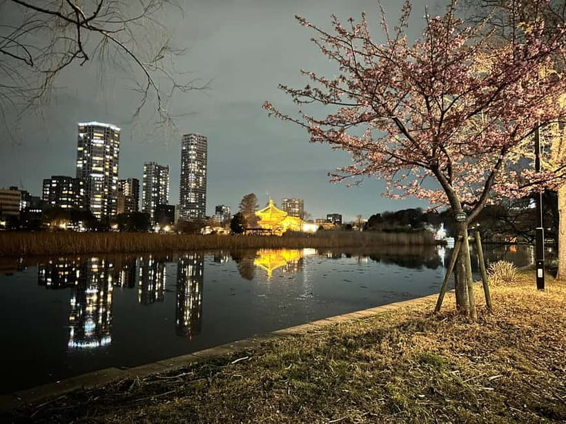 Tokyo: Akihabara, Shibuya, Karaoke & City Lights Night Tour - The guide team and language choice