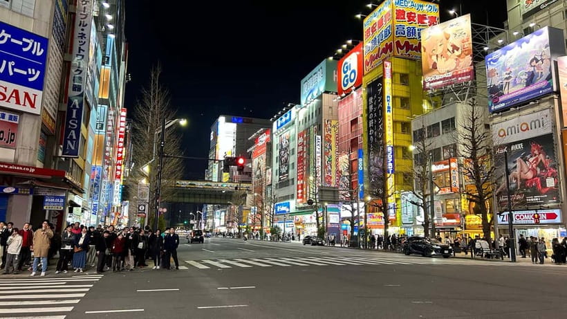 Tokyo: Akihabara, Shibuya, Karaoke & City Lights Night Tour - Who will enjoy this Tokyo night tour?