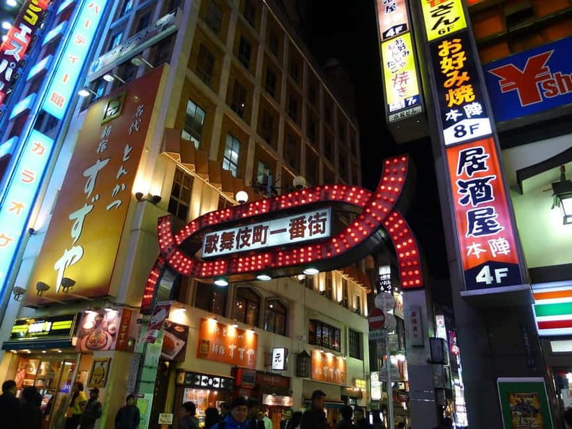 Tokyo: Akihabara, Shibuya, Karaoke & City Lights Night Tour - Practical details before you reserve