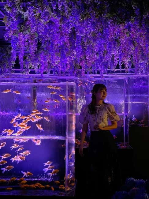 Tokyo: Art Aquarium Museum GINZA Entry Ticket - Why the music and scent matter