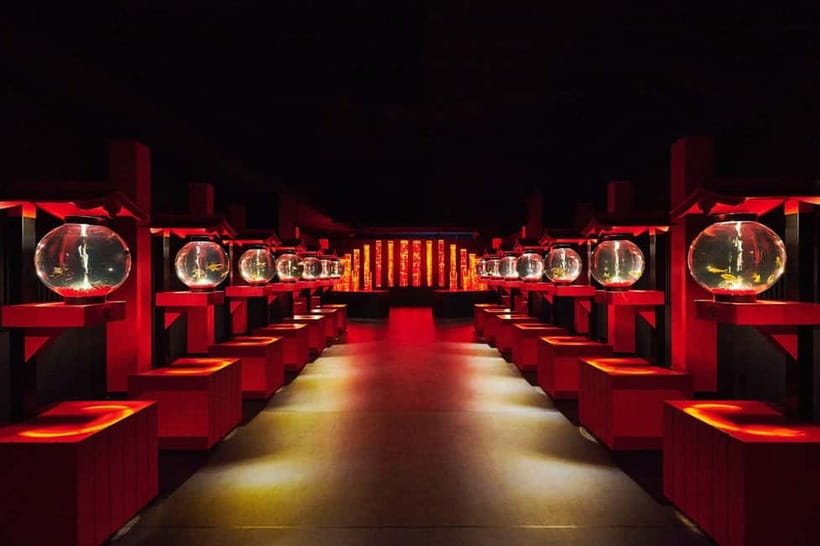 Tokyo: Art Aquarium Museum GINZA Entry Ticket - Photography without extra equipment