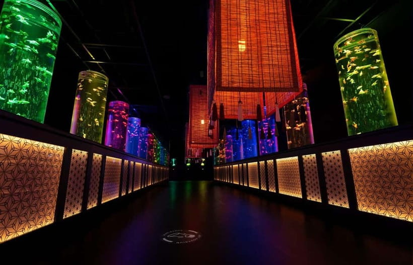 Tokyo: Art Aquarium Museum GINZA Entry Ticket - Should you book Art Aquarium Museum GINZA?