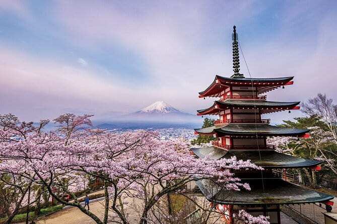 Tokyo: Asakusa Temple & Shrine Walking Tour with Local Guide - The Tourist Information Center’s high view