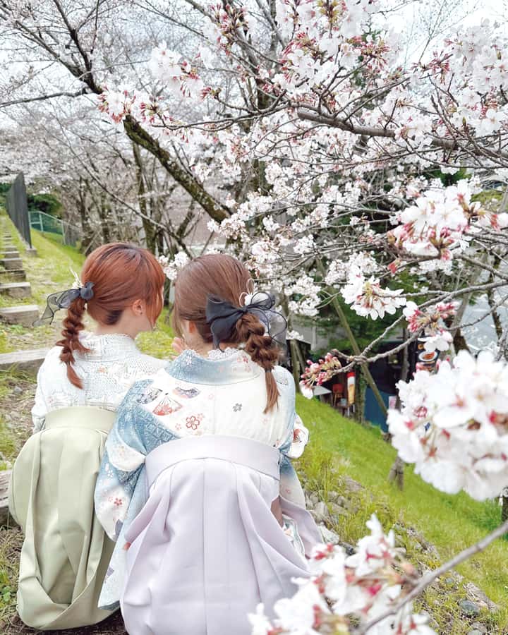 Tokyo Asakusa: Traditional Kimono Rental Experience at Wargo - Is the $33 starting price good value?