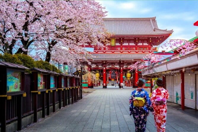 Tokyo City Tour by Private Car & English guide - Key points at a glance