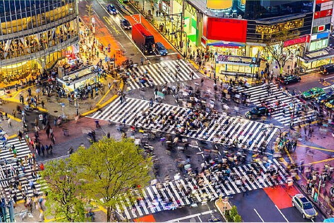 Tokyo City Tour by Private Car & English guide - Odaiba and the Tokyo Bay view
