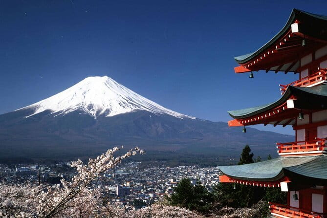 Tokyo City Tour by Private Car & English guide - The Imperial Palace gardens as an optional extra