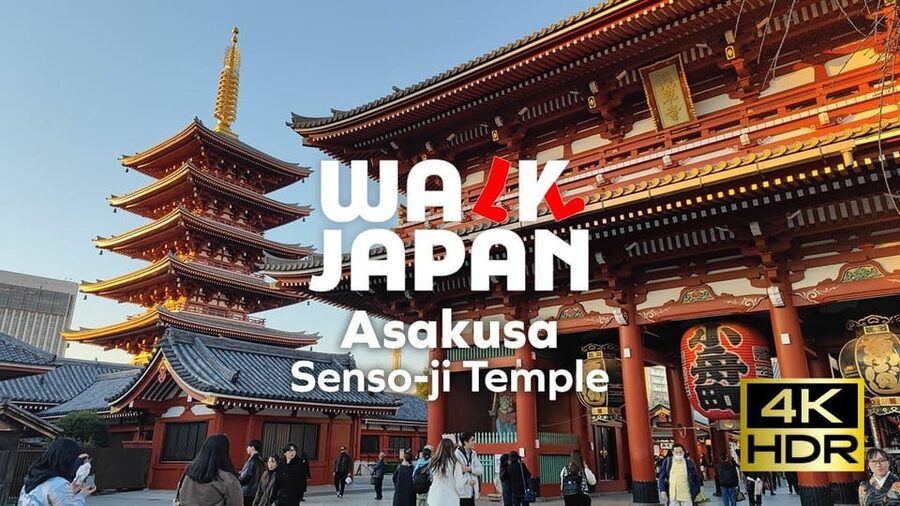Tokyo: Customizable Day Trip Within Tokyo & English-Driver - Why a private car makes sense in Tokyo