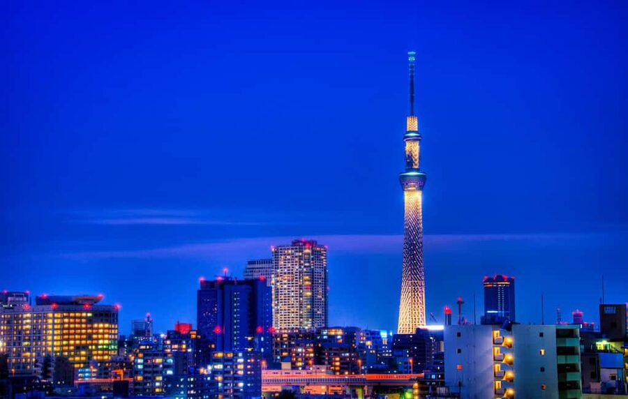 Tokyo: Customizable Day Trip Within Tokyo & English-Driver - Timing, meals, and what to settle before departure