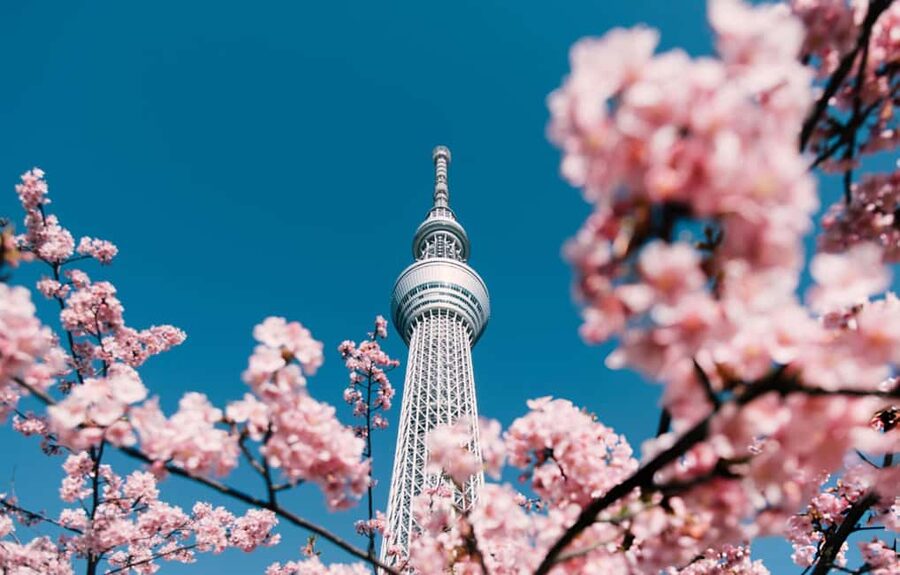Tokyo: Customizable Day Trip Within Tokyo & English-Driver - Ginza and the rooftop pause