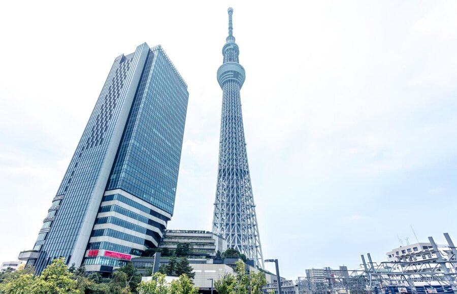 Tokyo: Customizable Day Trip Within Tokyo & English-Driver - Meiji Shrine and the quieter side of Tokyo