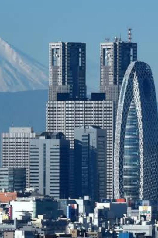 Tokyo: Customizable Private Guided Walking Tour - Is $87 per person fair value?