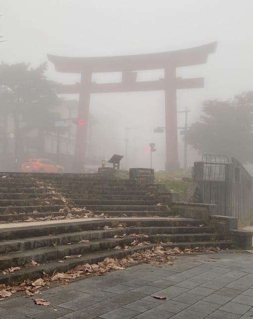 Tokyo: Customized Private Tour with a Local Guide - Why a private guide helps in Tokyo