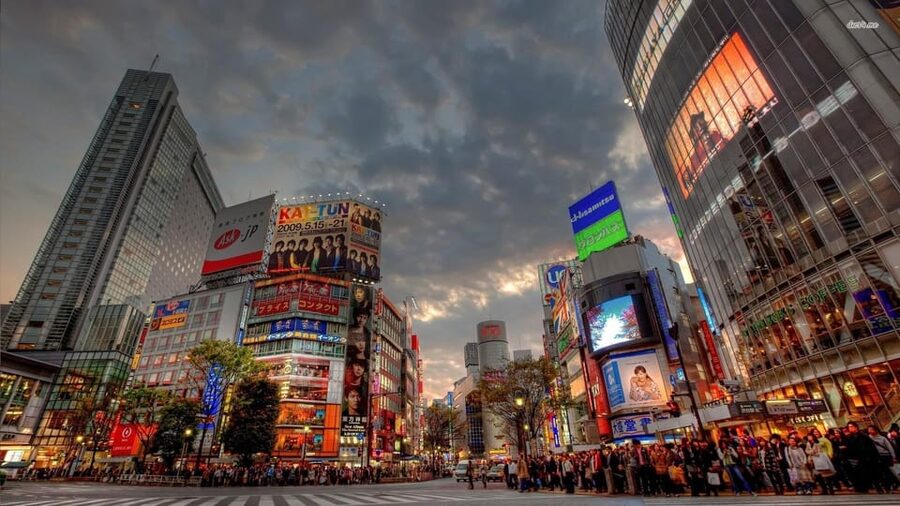Tokyo: Customized Private Tour with a Local Guide - Akihabara for retro games and pop culture