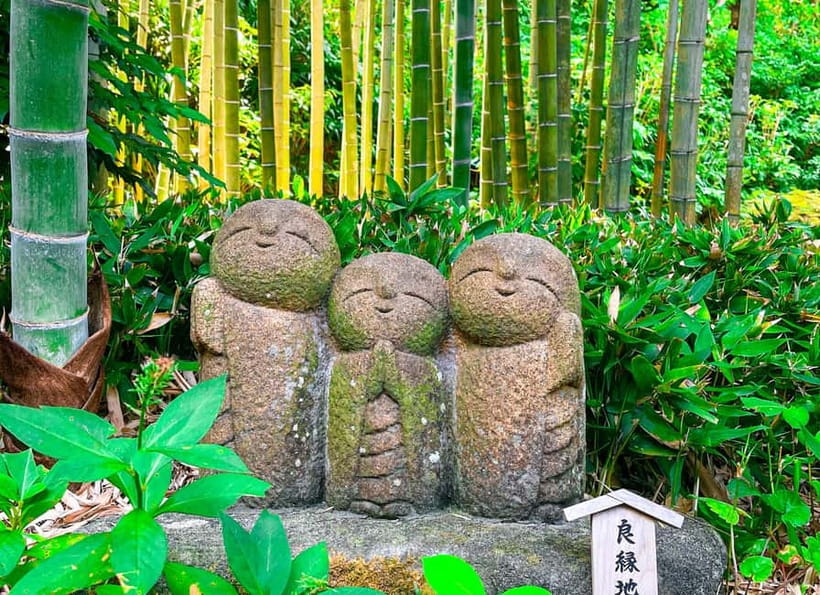 Tokyo: Day Trip to Kamakura in Spanish - Spanish - Meeting at Tokyo Station and taking the train