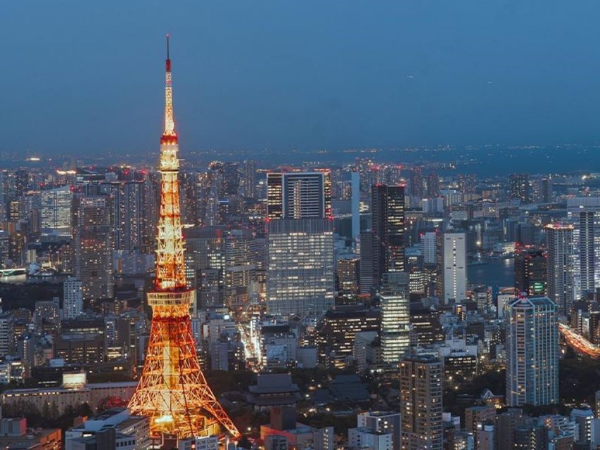 Tokyo Dinner Cruise & Tradition Show & Drinks & Tokyo Tower - Who should book this cruise