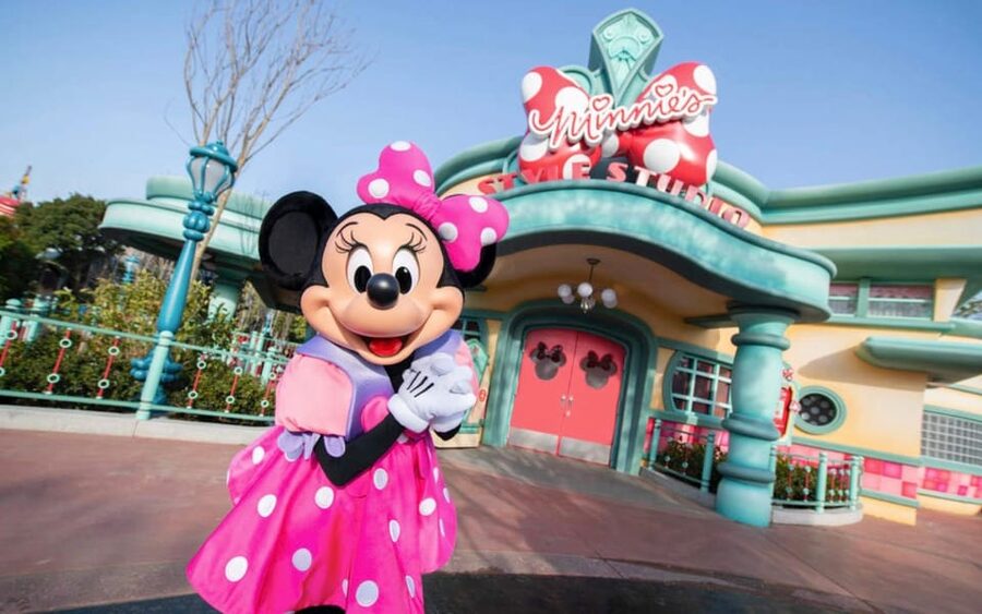 Tokyo DisneySea: 1-Day Ticket & Private Transfer - Entering with the QR code and passport