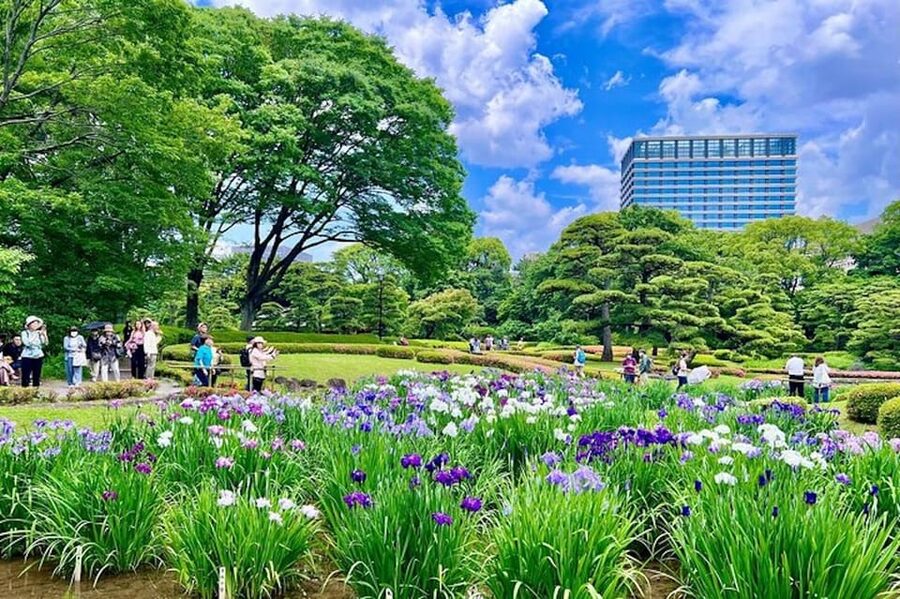 Tokyo: Edo Castle & East Garden of the Imperial Palace Tour - Who should book this East Garden tour?