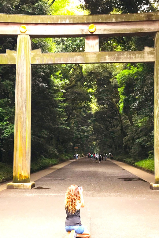 Tokyo: Full Course Tour: Explore 10 Must-Sees & Hidden Gems - Hachiko and Shibuya Scramble