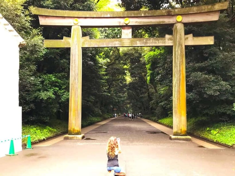 Tokyo: Full Course Tour: Explore 15 Must-Sees & Hidden Gems - Hachiko and Shibuya Crossing: Tokyo’s most famous meeting point
