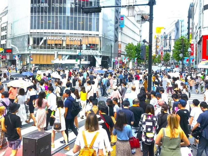 Tokyo: Full Course Tour: Explore 15 Must-Sees & Hidden Gems - Tsukiji Hongan-ji and the Outer Market: the best food stop