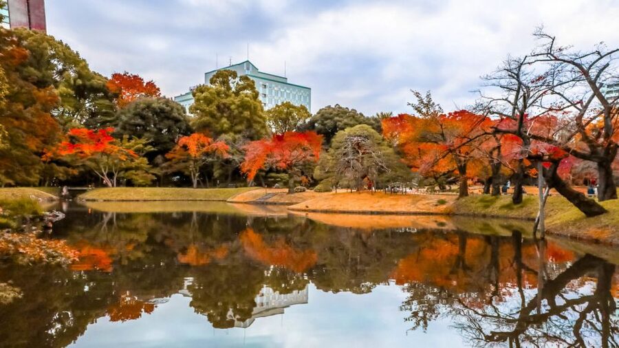Tokyo: Full-Day Japanese Garden Private Guided Tour - Key points to know before booking
