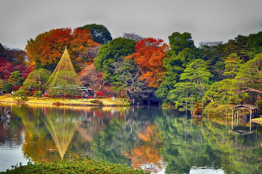 Tokyo: Full-Day Japanese Garden Private Guided Tour - Why a private garden day works well in Tokyo