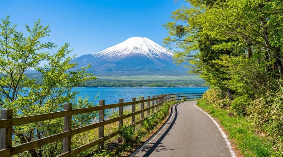 Tokyo: Full-Day Tour of the Six Majestic Spots of Mt Fuji - Why the first stop matters: Hirano Beach in the morning