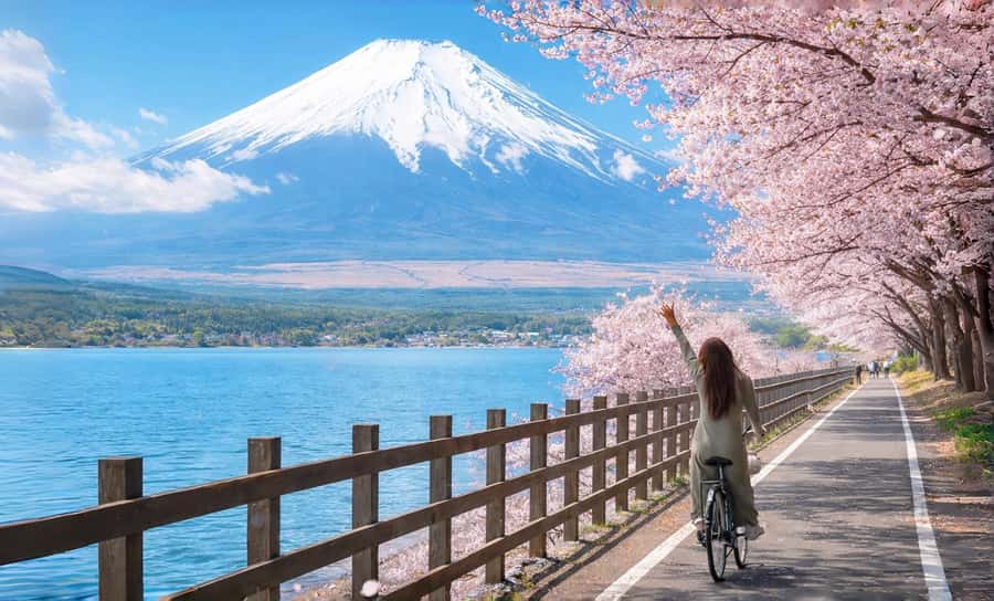 Tokyo: Full-Day Tour of the Six Majestic Spots of Mt Fuji - Oshino Hakkai: clear water and a traditional village