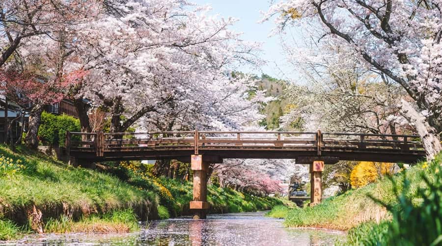 Tokyo: Full-Day Tour of the Six Majestic Spots of Mt Fuji - Guides, languages, and the ride between stops
