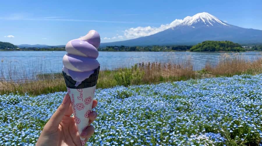 Tokyo: Full-Day Tour of the Six Majestic Spots of Mt Fuji - Weather, traffic, and the Fuji gamble