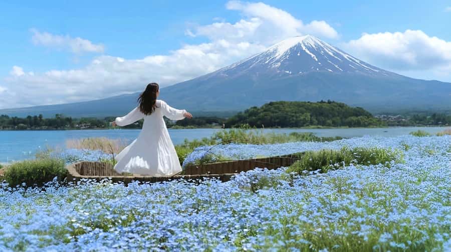 Tokyo: Full-Day Tour of the Six Majestic Spots of Mt Fuji - Who should book this Fuji day trip