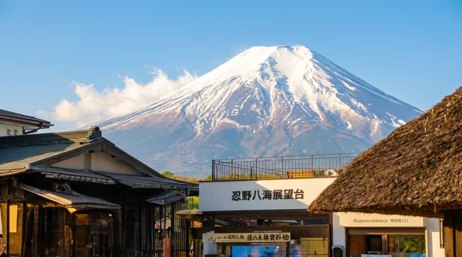 Tokyo: Full-Day Tour of the Six Majestic Spots of Mt Fuji - Arakurayama Sengen Park and the pagoda climb