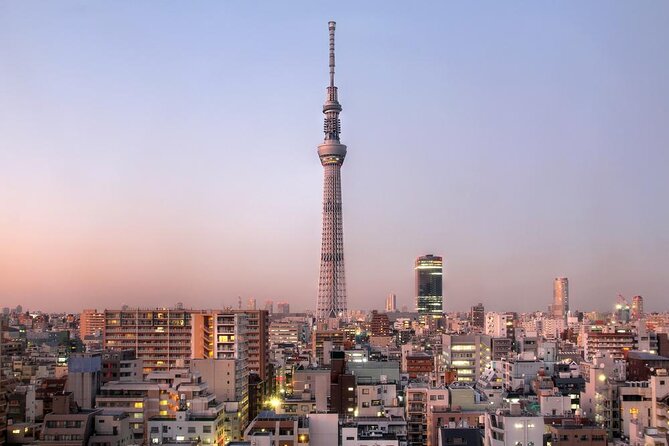 Tokyo Full Day Tour with Licensed Guide and Vehicle from Yokohama - Key points to know before booking